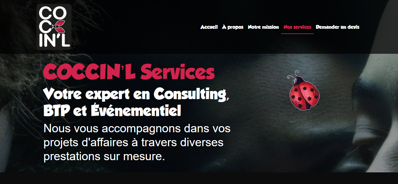 coccinl.com